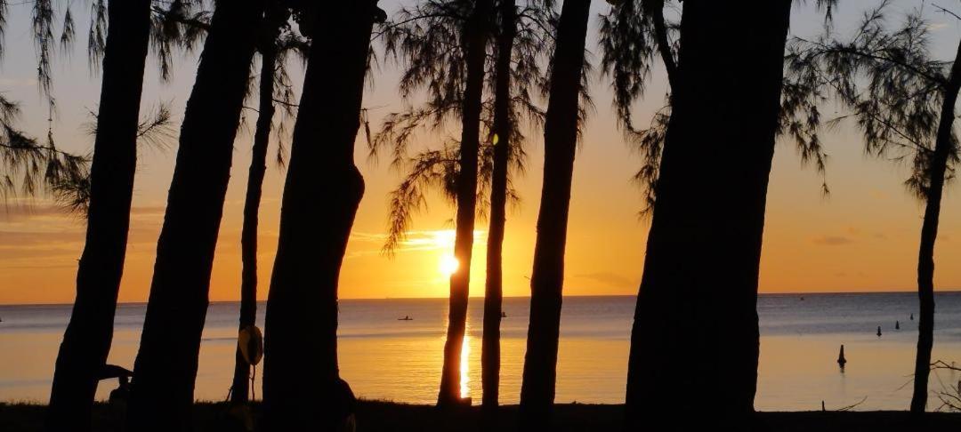 Appartement Le Dauphin Du Lagon Bleu - Plages De Mont Choisy Et De Trou Aux Biches Grand Bay Exteriér fotografie