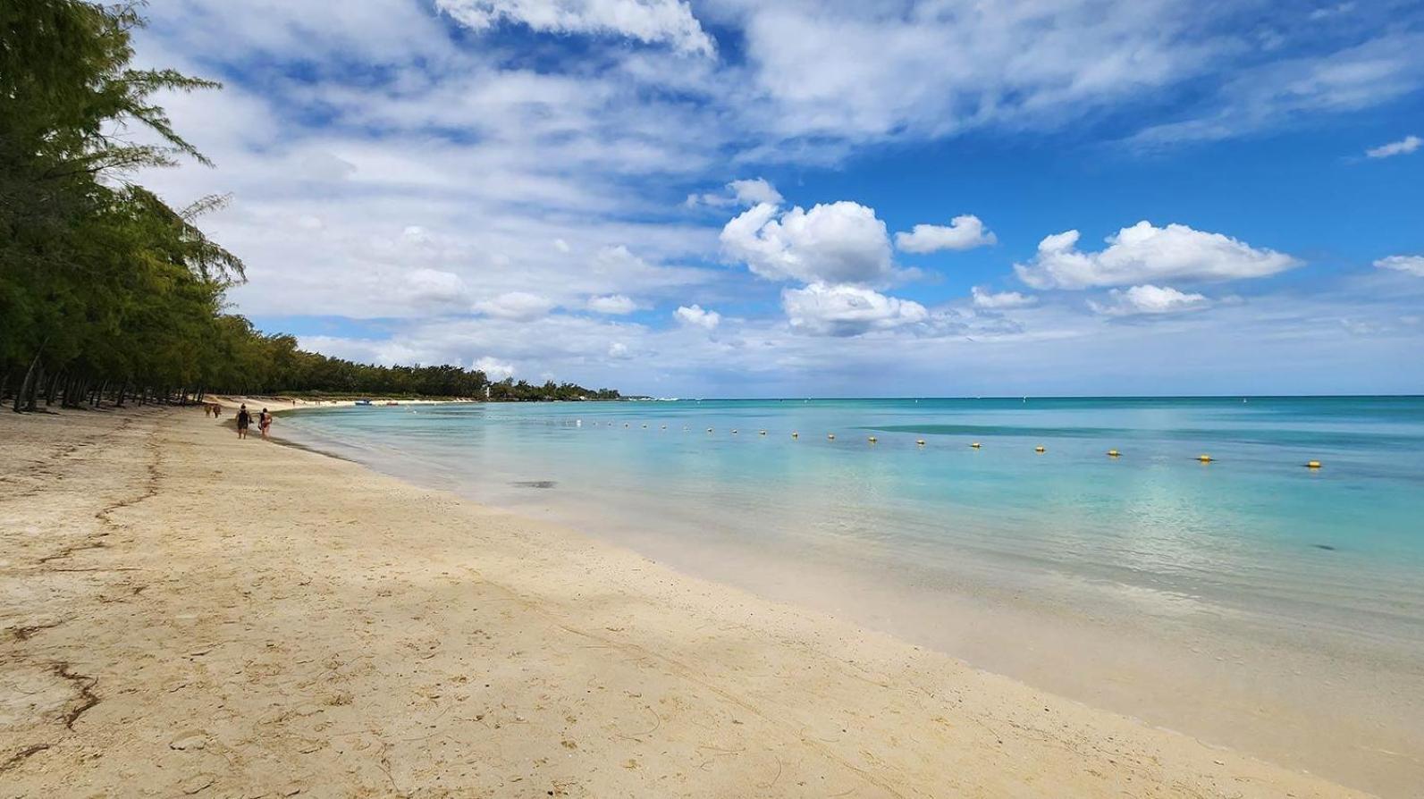 Appartement Le Dauphin Du Lagon Bleu - Plages De Mont Choisy Et De Trou Aux Biches Grand Bay Exteriér fotografie